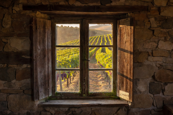 Rustic old wooden window in a village cottage overlooking vineyard